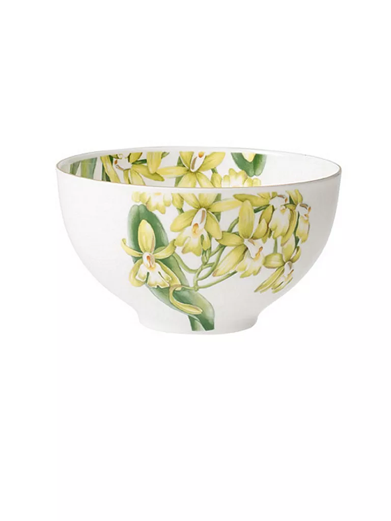 VILLEROY & BOCH SIGNATURE | Schüssel - Bol "Amazonia" 13cm | bunt