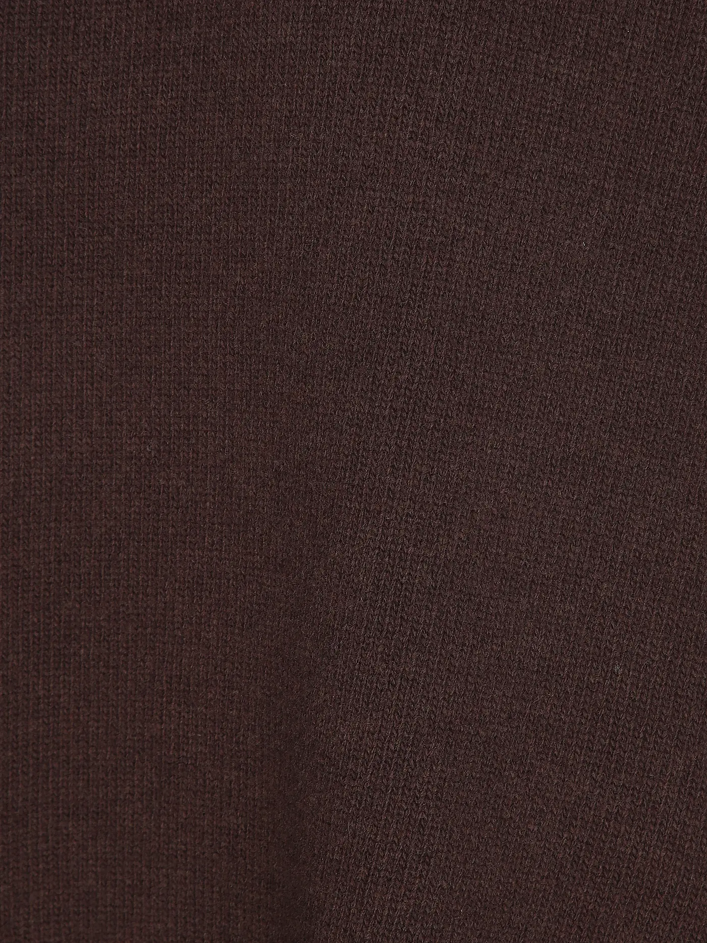 WEEKEND MAX MARA | Rollkragenpullover BORGIA | braun