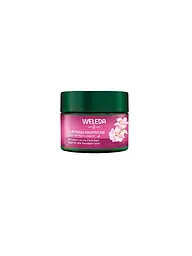 WELEDA | Gesichtscreme - Wildrose & Weißer Tee Tagepflege 40ml | keine Farbe