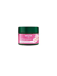 WELEDA | Gesichtscreme - Wildrose & Weißer Tee Tagepflege 40ml | keine Farbe