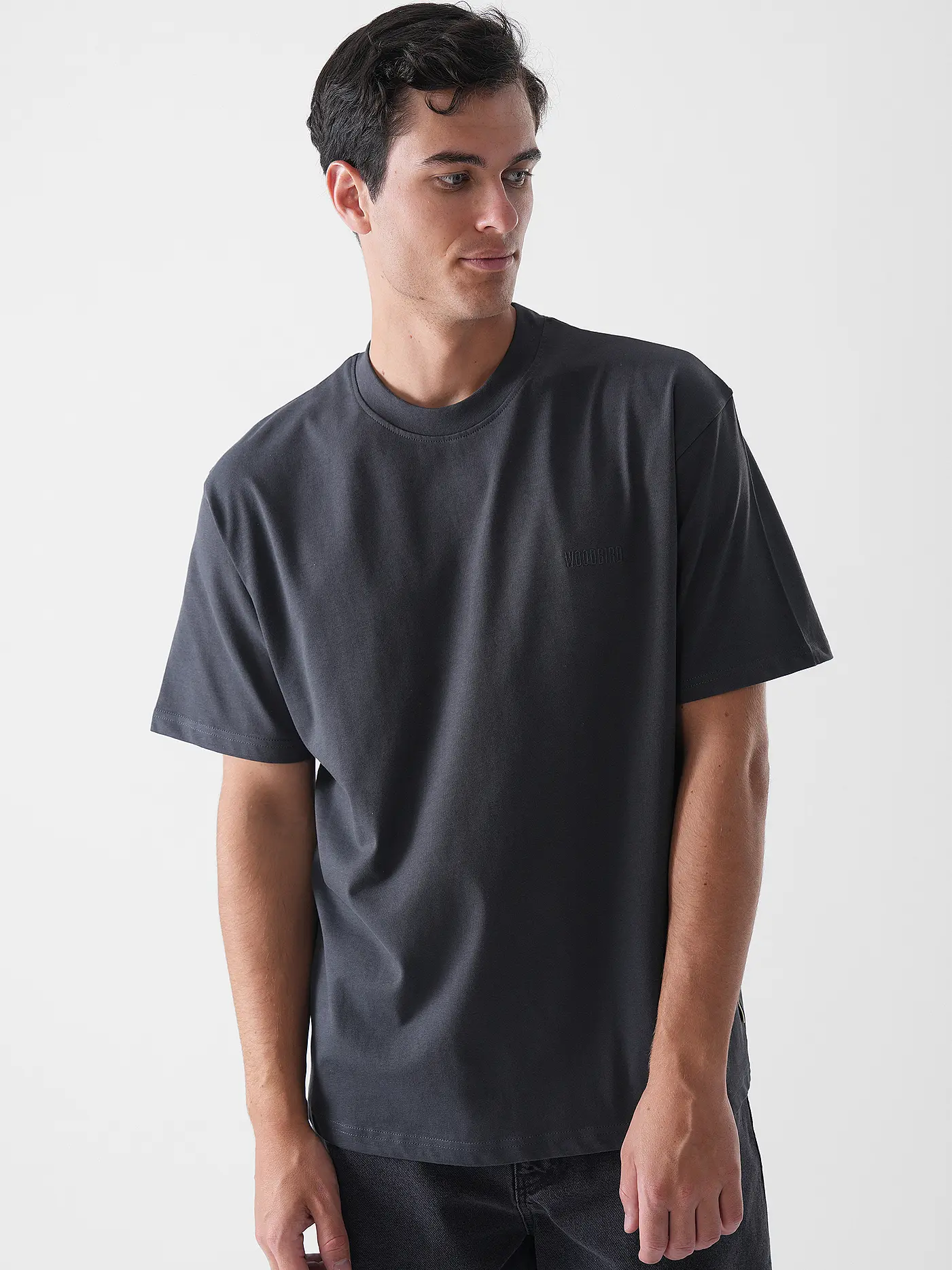 WOODBIRD | T-Shirt WBBAINE | grau