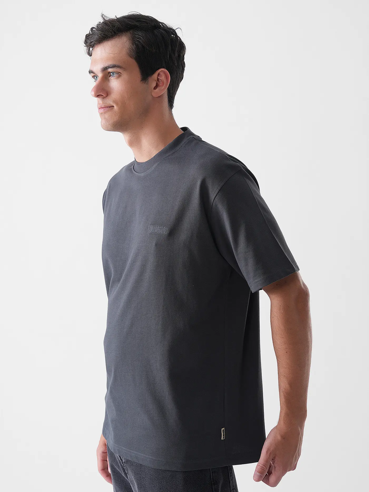 WOODBIRD | T-Shirt WBBAINE | grau
