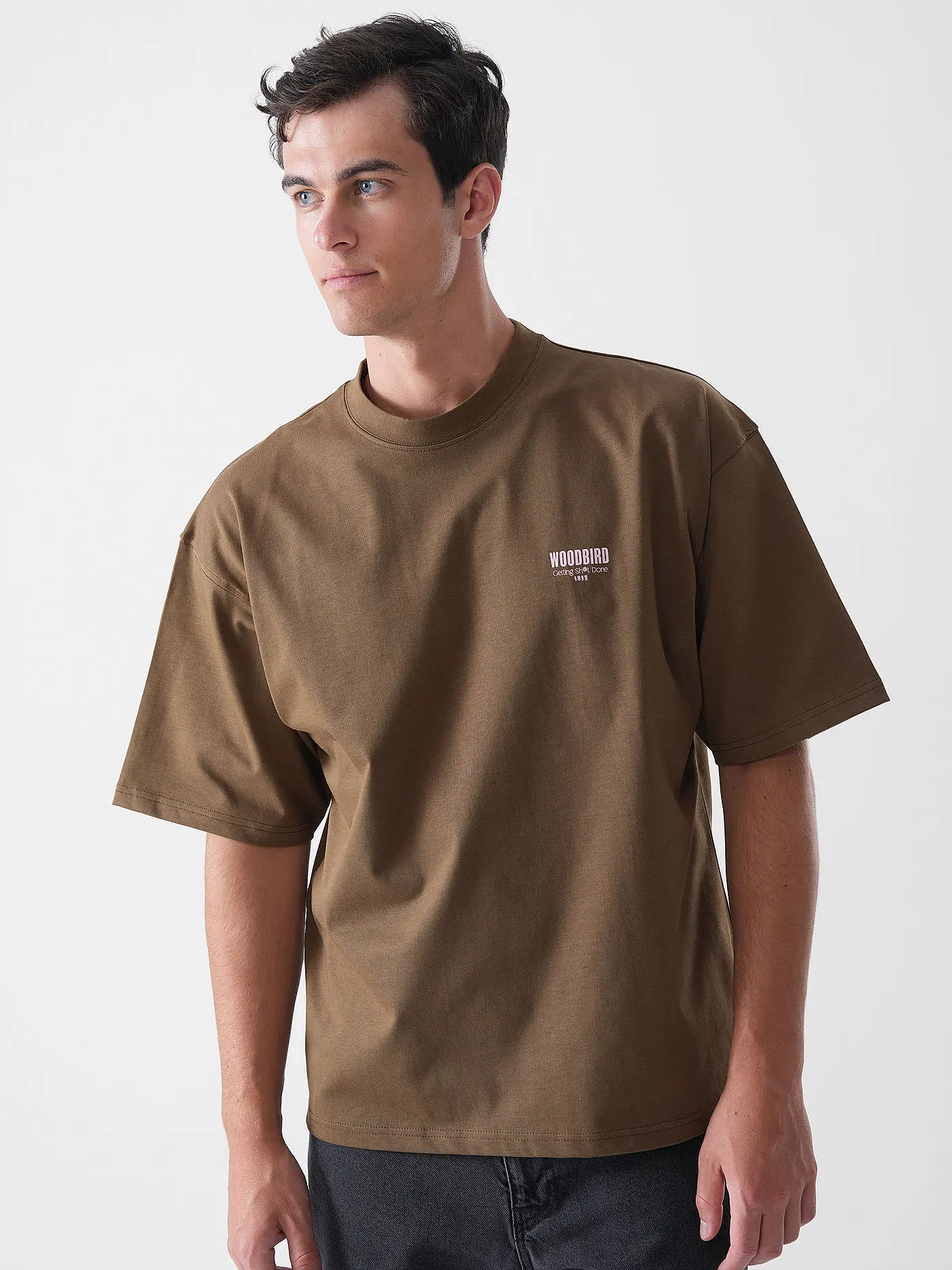 WOODBIRD | T-Shirt WBBEAM PHO | braun