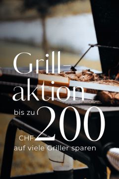 LP_Grillaktion_480x720_ch